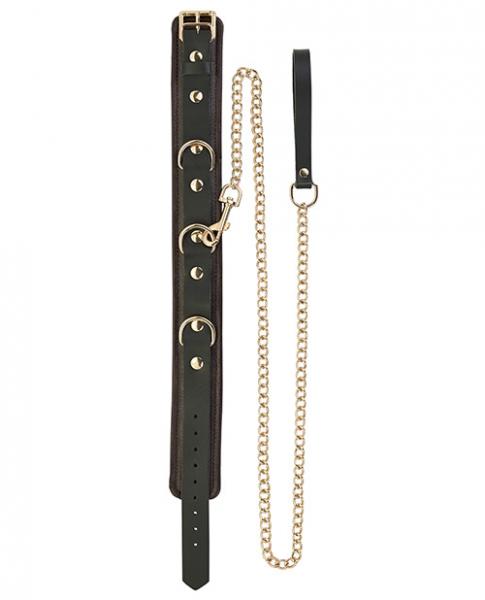 Spartacus Collar & Leash Brown Leather Gold Accent Hardware